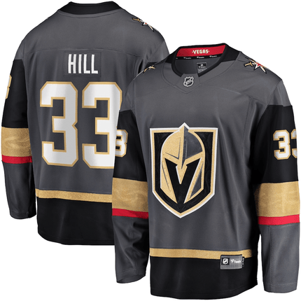 Adin Hill Vegas Golden Knights 2024-2025 Breakaway Alternate Gray Jersey
