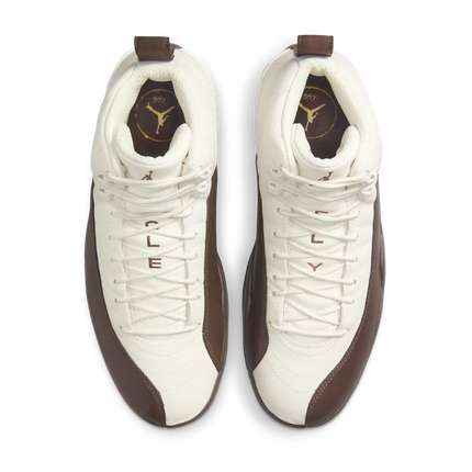 Men's Nike Air Jordan 12 x SoleFly Shoes