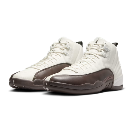 Men's Nike Air Jordan 12 x SoleFly Shoes